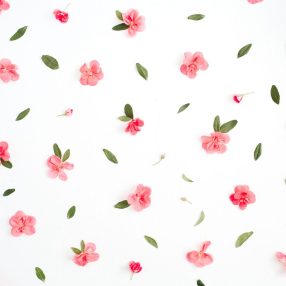 Virágos, leveles, kékfestő mintájú pamutvásznak